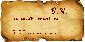 Balaskó Mimóza névjegykártya
